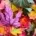 WTMC Autumn Workshop